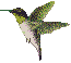 humbird.gif (2293 bytes)